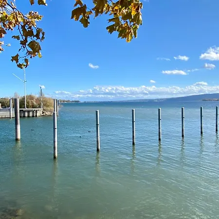 Ferienwohnung Seeromantik In 2 Minuten Am See Radolfzell am Bodensee Eksteriør billede