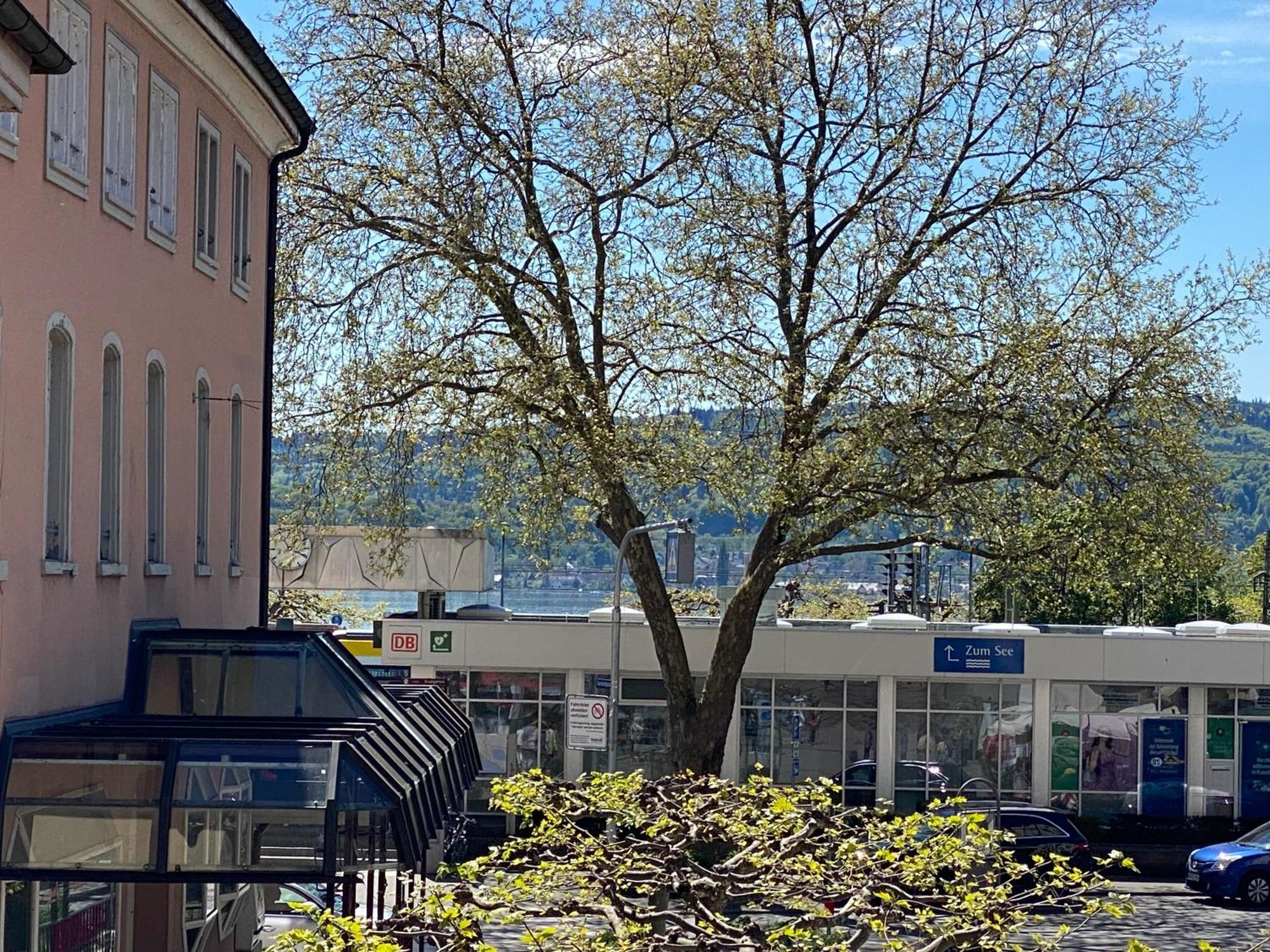 Appartement Seeromantik In 2 Minuten Am *