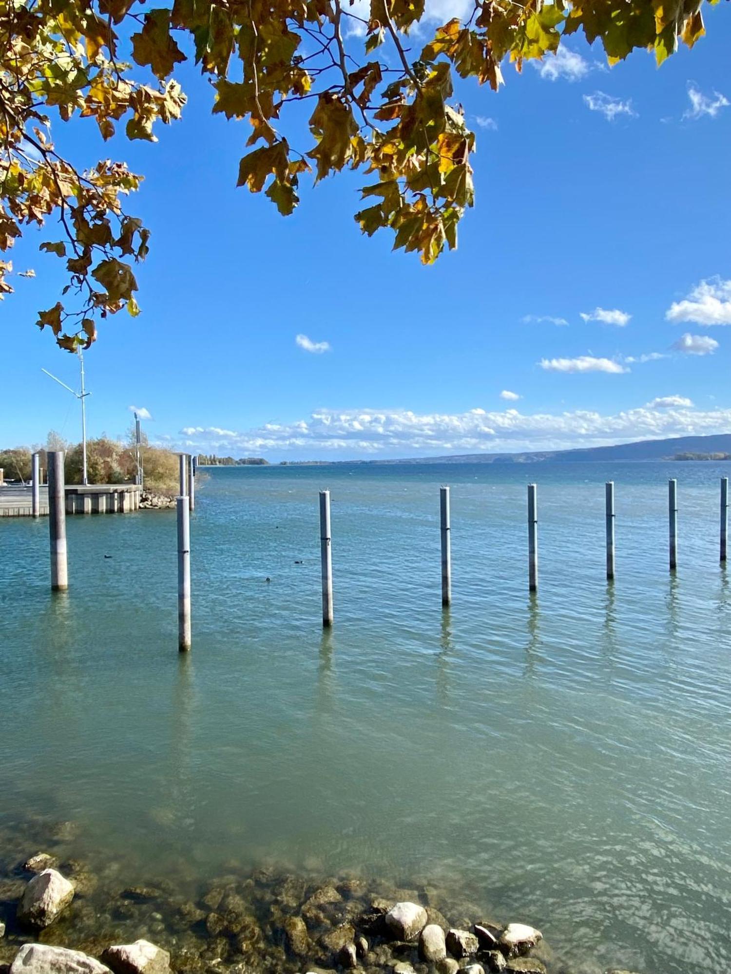 Seeromantik In 2 Minuten Am Appartement Radolfzell am Bodensee